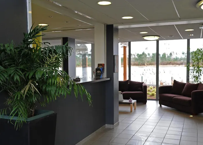 - Bassin D'arcachon - Dune Du Pilat La Teste-de-Buch